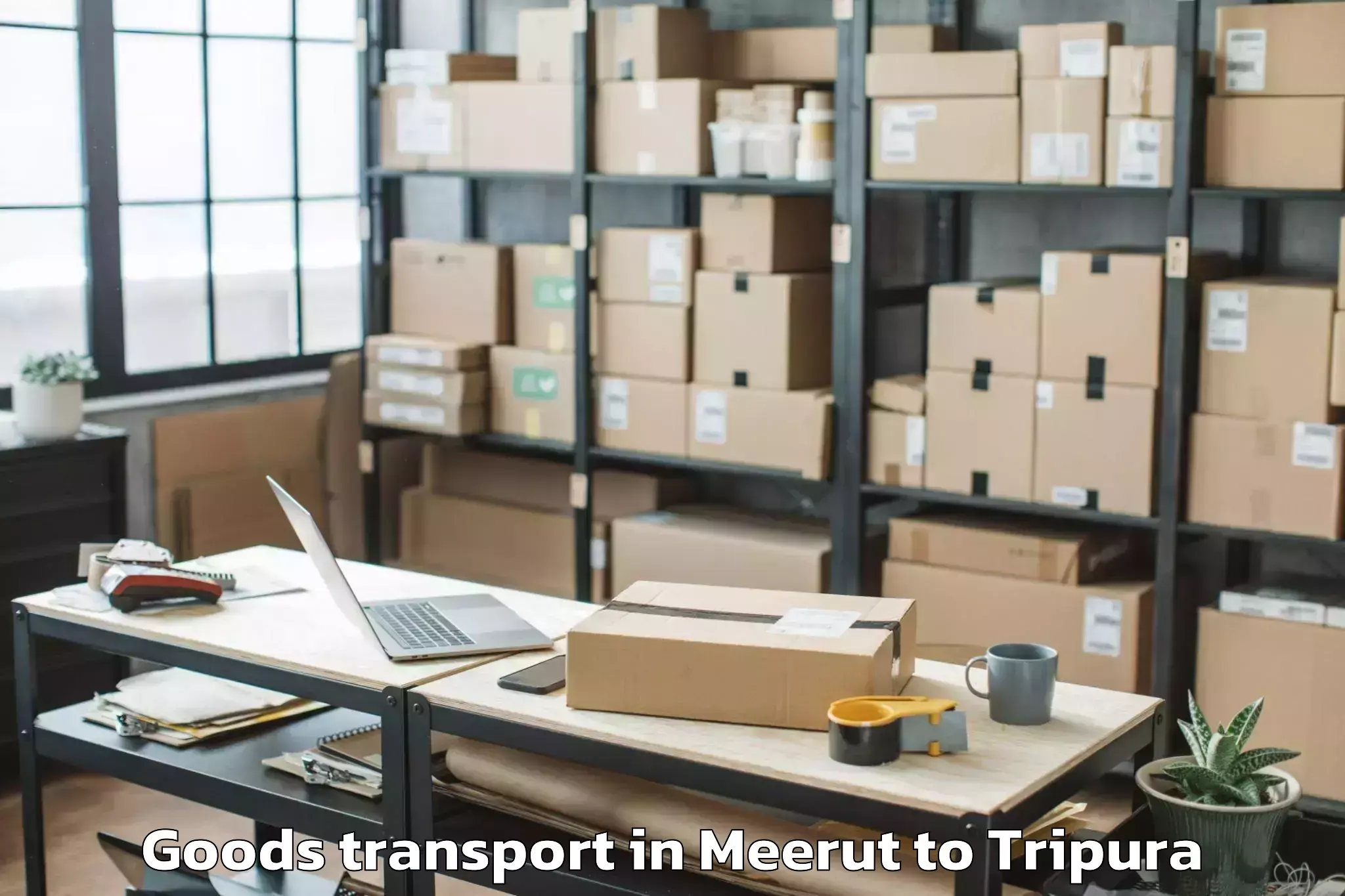 Professional Meerut to Teliamura Goods Transport